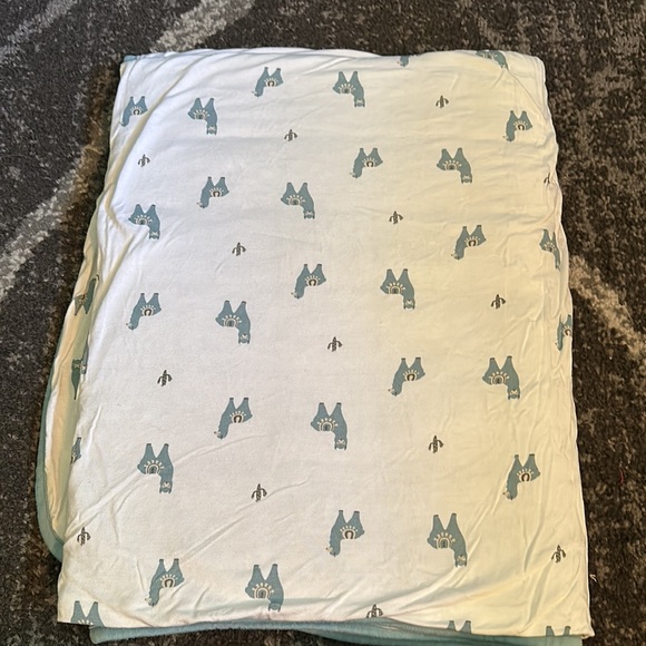 Kyte Baby Toddler Blanket - Picture 3 of 3